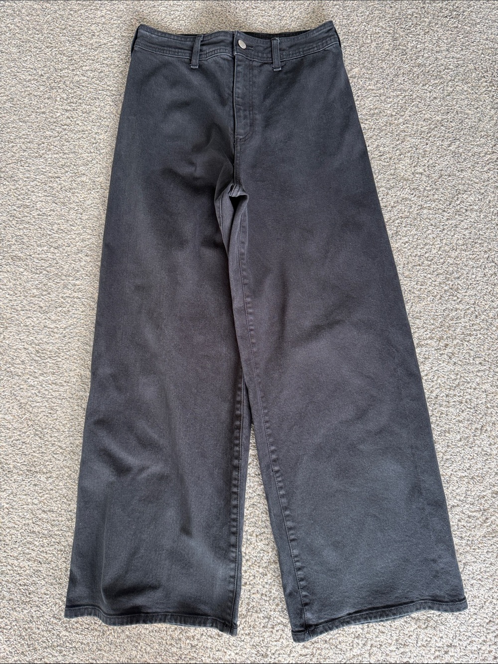 Women’s Universal Thread Wide-Leg Black Pants